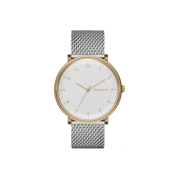 

Часы Skagen SKW6170