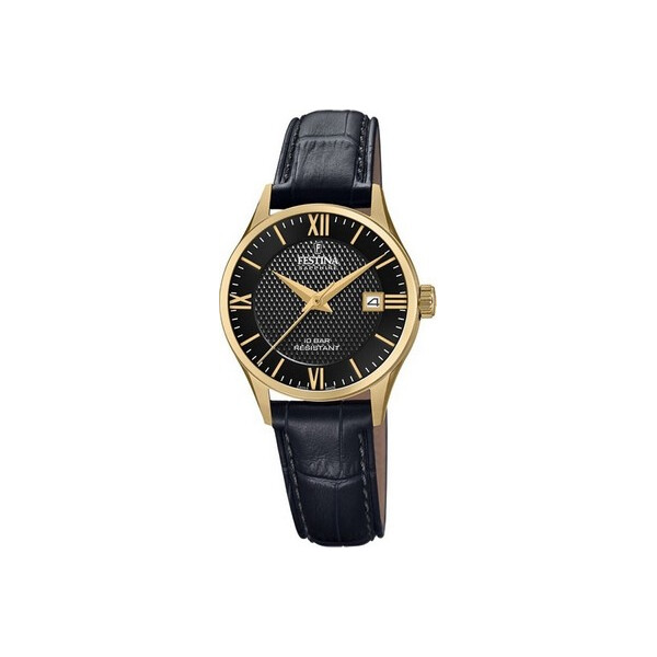 

Часы Festina F20011-4