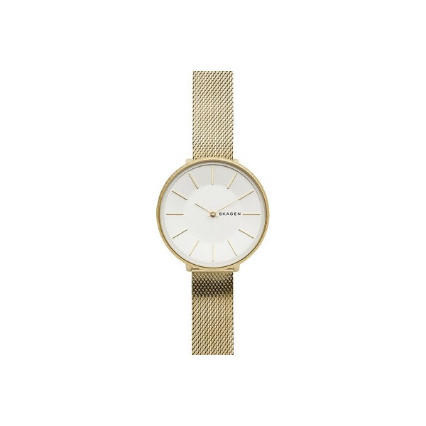 

Часы Skagen SKW2722