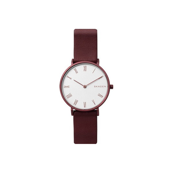 

Часы Skagen SKW2676