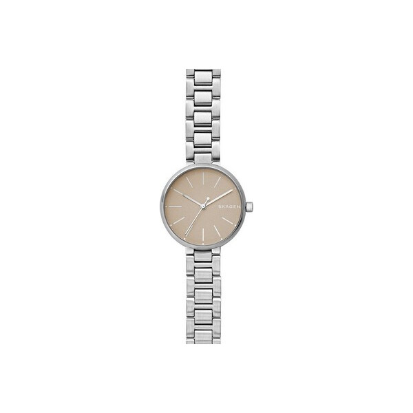 

Часы Skagen SKW2647