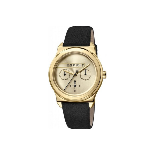 

Часы Esprit ES1L077L0025