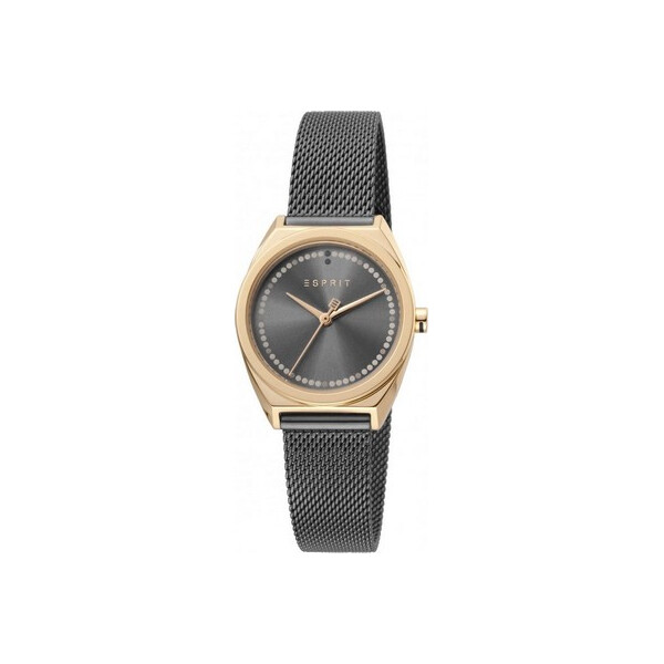 

Часы Esprit ES1L100M0105