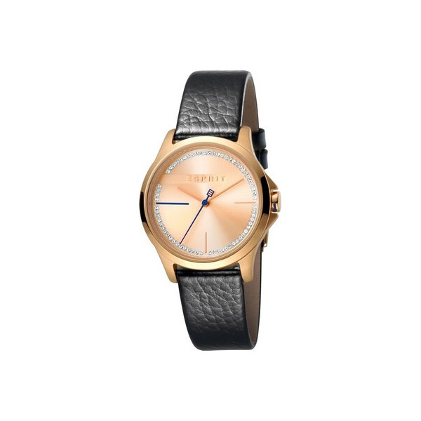 

Часы Esprit ES1L028L0045