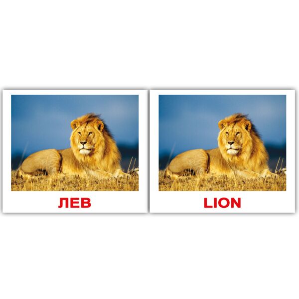 

Карточки мини русско-английские Дикие животные/Wild 40 кар.(096761)