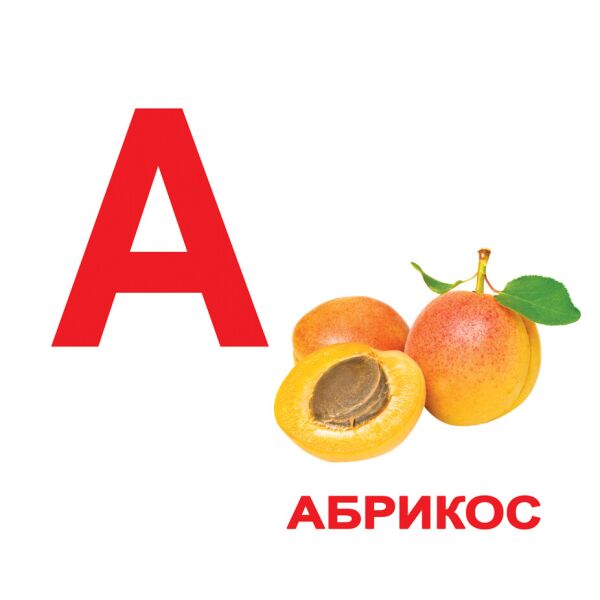 

Карточки большие русские с фактами «Алфавит» 34шт(630935)