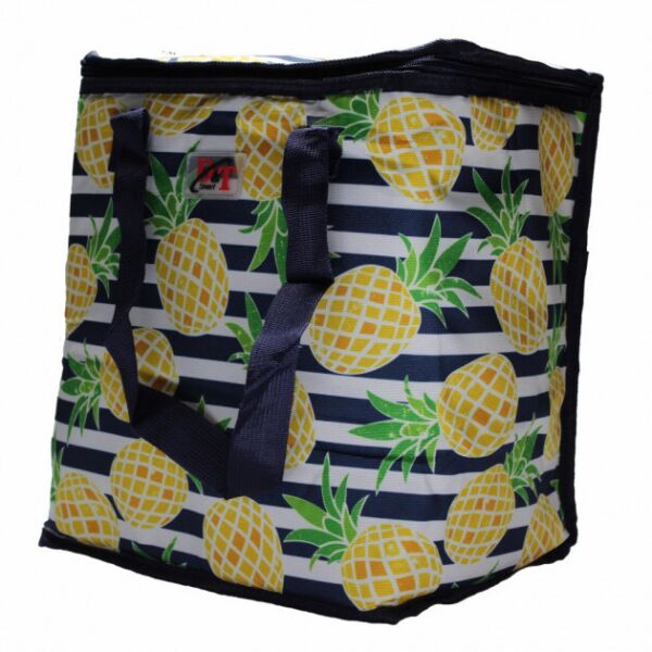

Термосумка 22 л Cooling Bag DT 4243 20х35х32 см