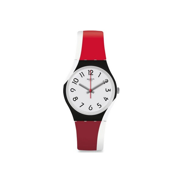 

Часы Swatch GW208