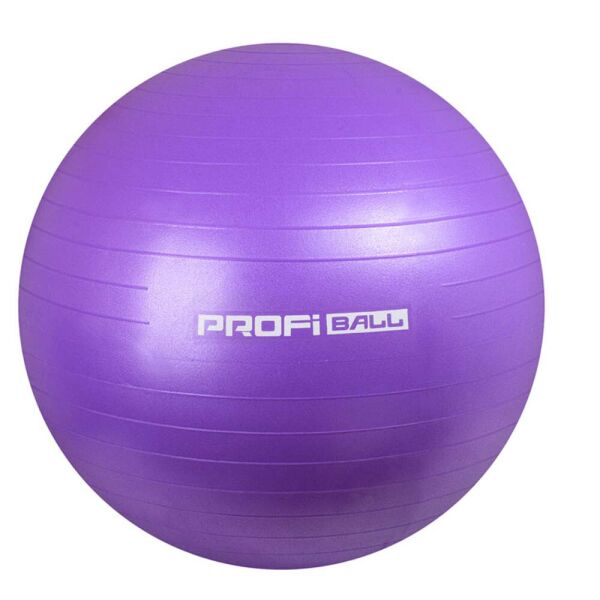 

Мяч для фитнеса, фитбол, жимбол Profitball, 65 фиолетовый