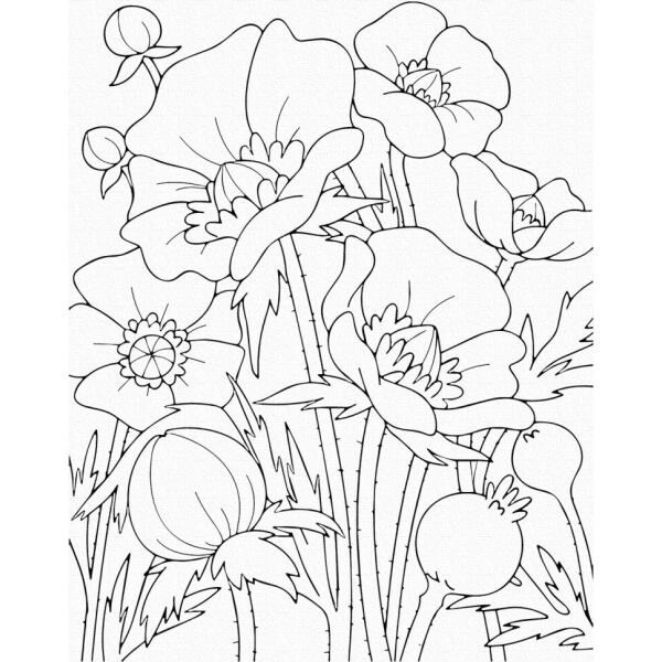 

Роспись на холсте. Art Craft "Маки" 25х30 см 15506-AC