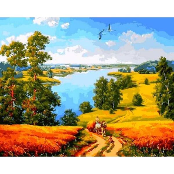 

Картина по номерам Q2180 Деревенская дорога, 40x50 см., Mariposa