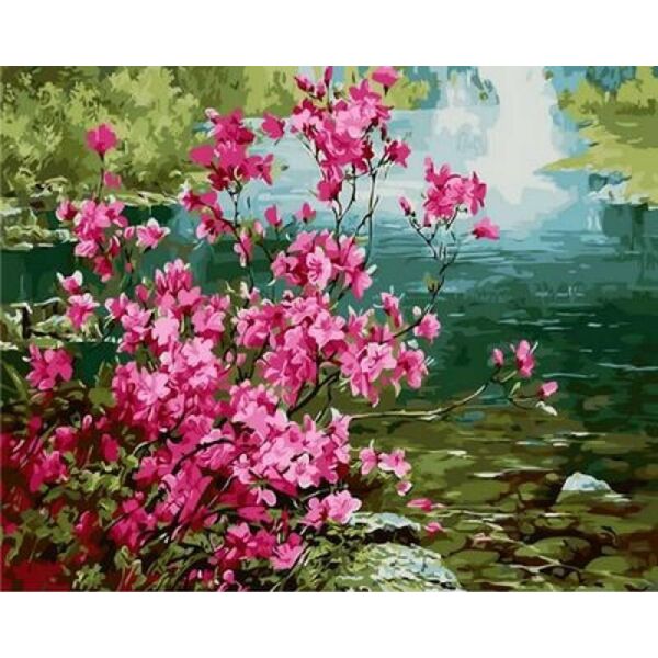 

Картина по номерам Q1276 Куст миндаля. Худ. Ли Сон Хо, 40x50 см., Mariposa