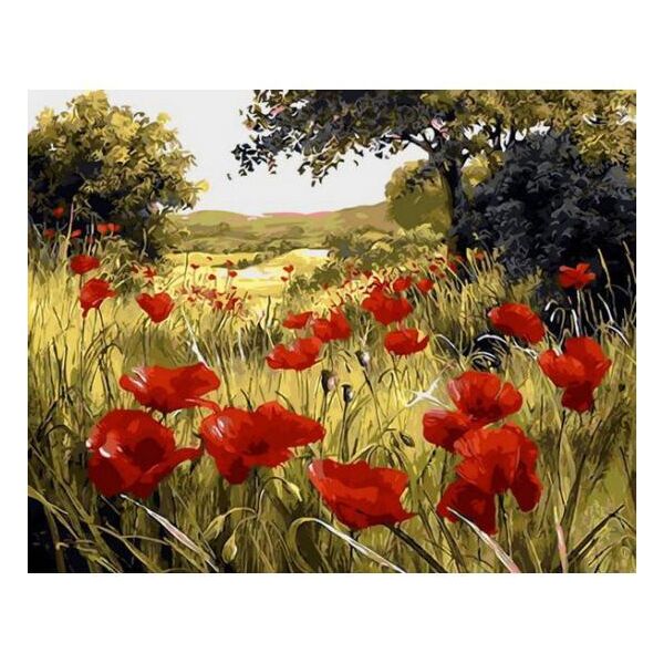 

Картина по номерам QS1432 Красный цвет мака, 50x65 см., Babylon