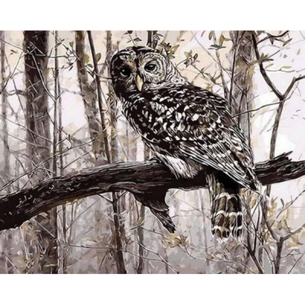 

Картина по номерам Q639 Сова в зимнем лесу. Худ. Рассел Кобейн, 40x50 см., Mariposa