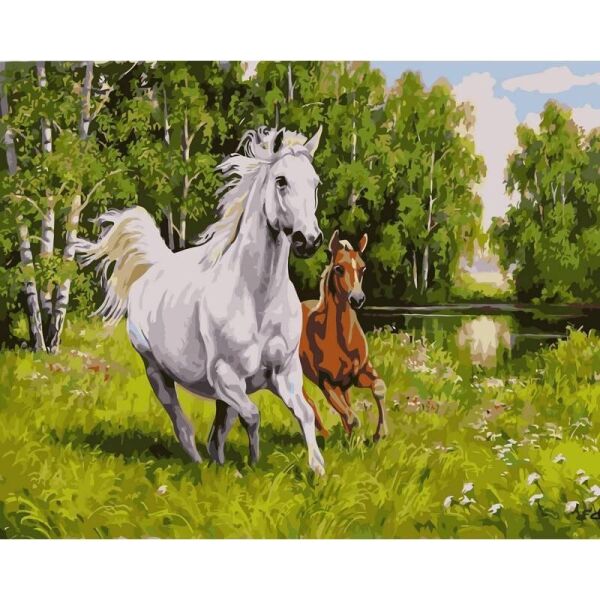 

Картина по номерам VP131 На воле. Худ. Елена Самарская, 40x50 см., Babylon