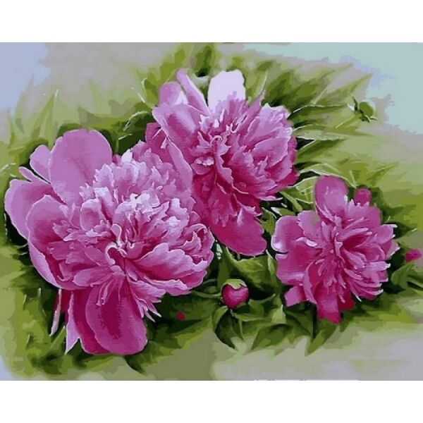 

Картина по номерам Q2184 Пионы Розена Плена, 40x50 см., Mariposa