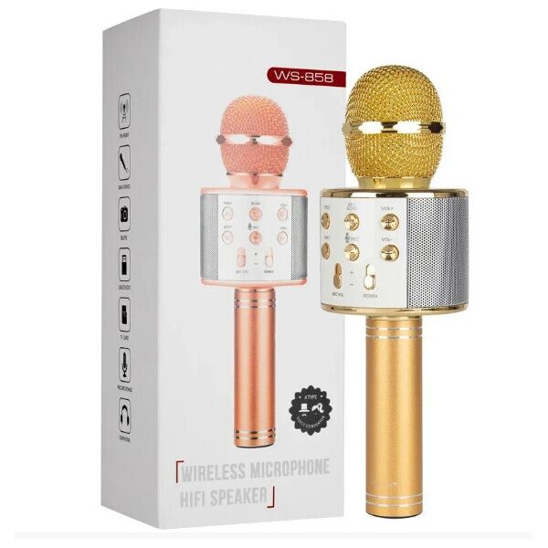 

Микрофон караоке в Украине с изменением голоса и FM WS-858 Gold
