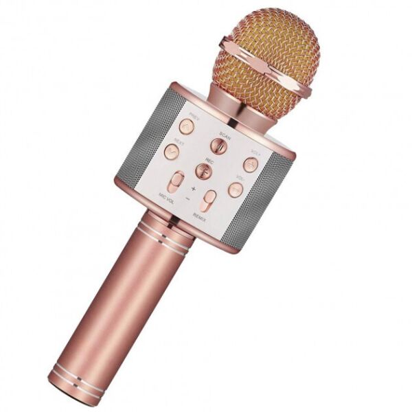 

Микрофон караоке в Украине с изменением голоса и FM WS-858 Rose Gold
