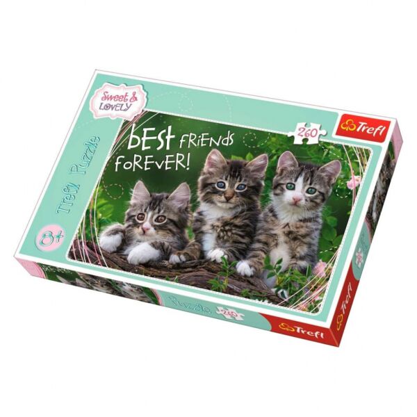 

Пазлы "Друзья-Котята" 13215 (260 элем.)