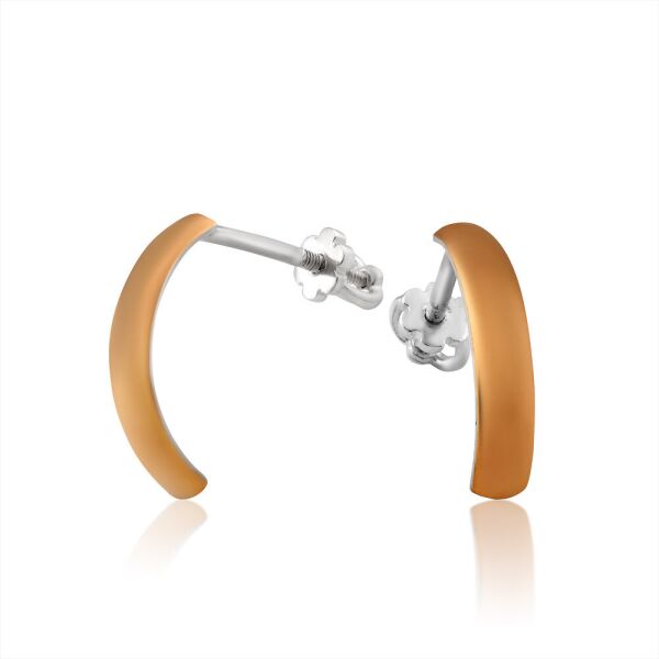 

Серебряные серьги с золотыми пластинами