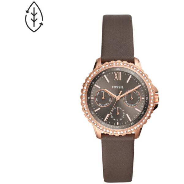 

Часы Fossil ES4889