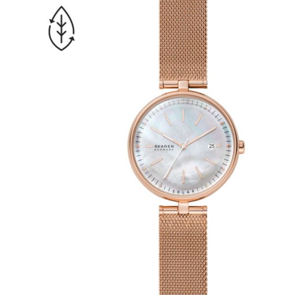 

Часы SKAGEN SKW2980