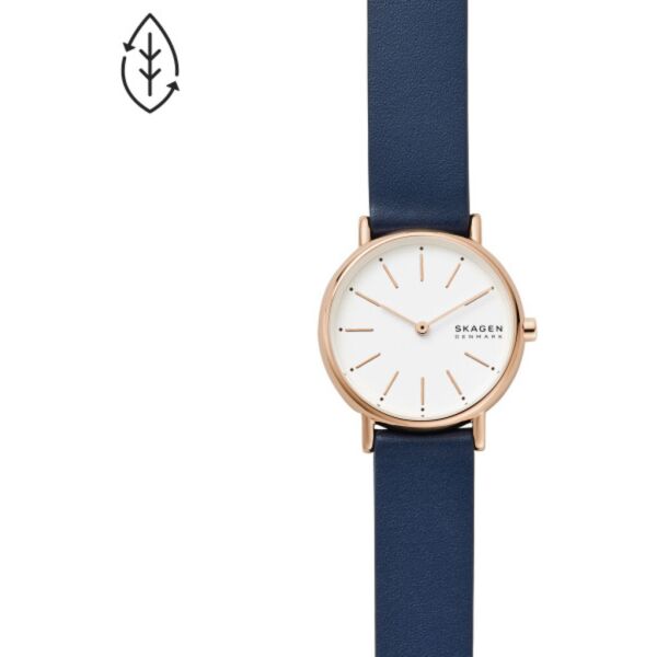 

Часы SKAGEN SKW2838