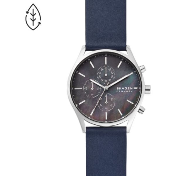 

Часы SKAGEN SKW6653