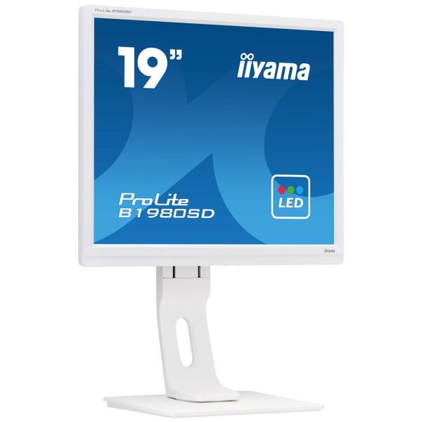 

Монитор iiyama 19" ProLite B1980SD-W1