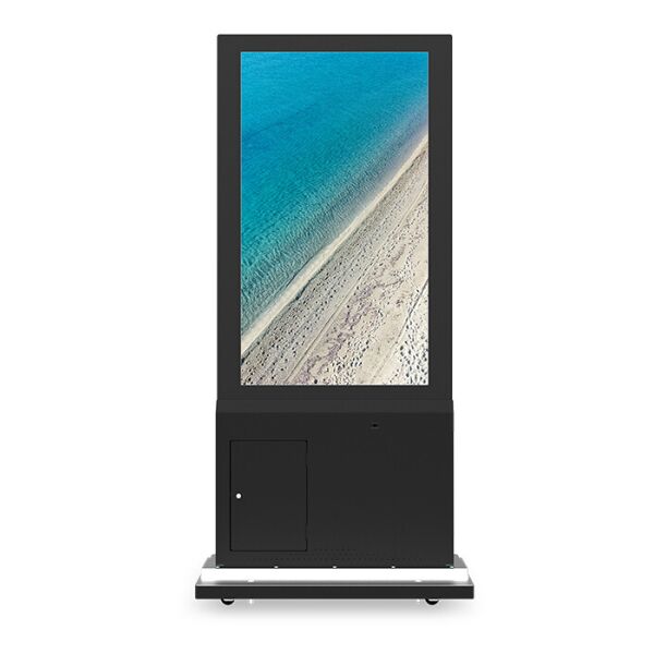 

Монитор Acer DD550Abi