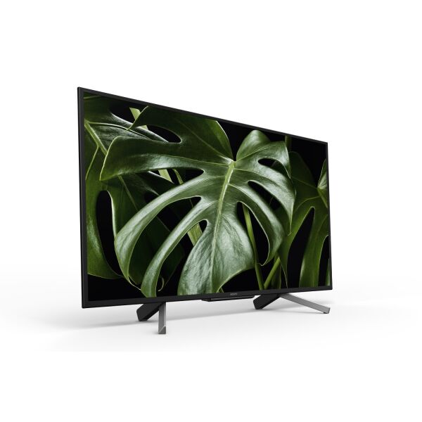 

Монитор Sony FWD-50W66G