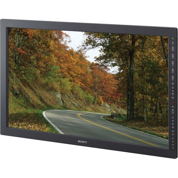 

Монитор Sony LMD-4251TD