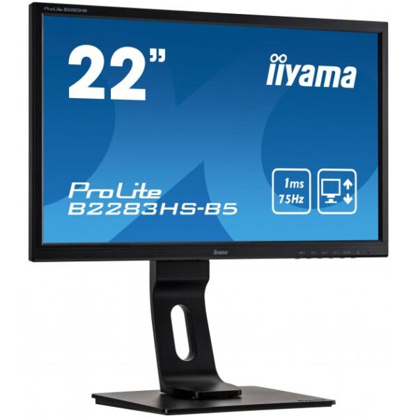 

Монитор IIYAMA ProLite B2283HS-B5 (B2283HSB5)