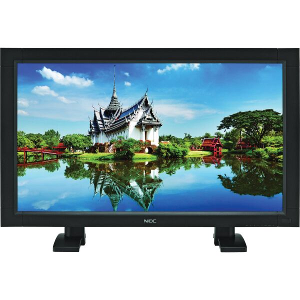 

Монитор NEC MultiSync V321