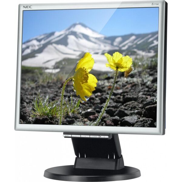 

Монитор NEC 17" MultiSync E171M black (60003582)