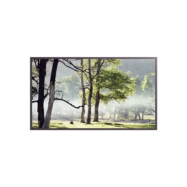 

Монитор Hyundai Indoor Display 55" Fullhd D55Ufn