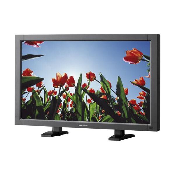 

Монитор Mitsubishi Electric LDT421V (LDT421V)