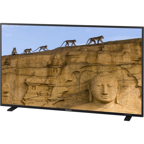 

Монитор Sony Wizyjny 4K Trimaster El™ Oled Pvm-X550