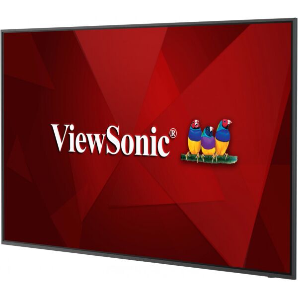 

Монитор Viewsonic Cde6520