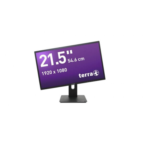 

Монитор Terra 21,5" 2256W (3030021)