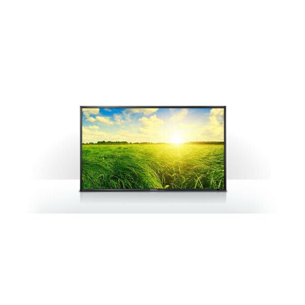 

Монитор Mitsubishi Electric MDT652S