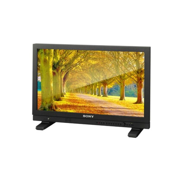 

Монитор NEC MultiSync P801 PG
