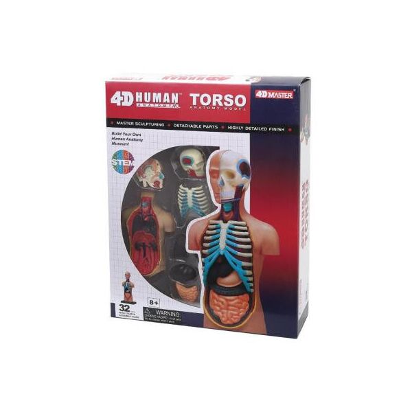 

Пазл 4D Master Объемная анатомическая модель Торс человека (FM-626003)