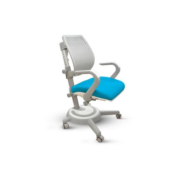 

Детское кресло Mealux Ergoback BL (Y-1020 BL)