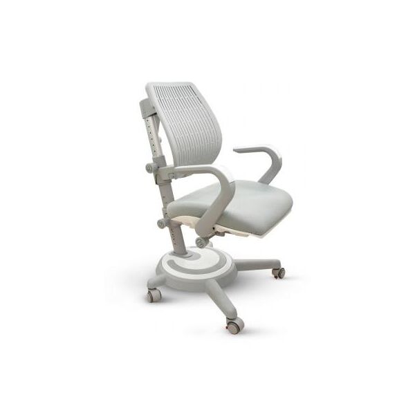 

Детское кресло Mealux Ergoback G (Y-1020 G)