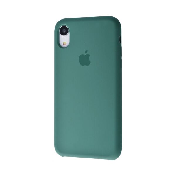 

Силиконовый чехол для iPhone Xr Silicone Case Cactus