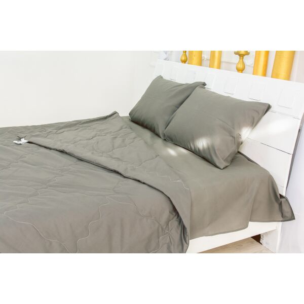 

Набор MirSon №2508 EcoSilk 16-5803 Geronimo (одеяло + 2 подушки + 2 наволочки + простынь) 140х205 см 2шт. + 50х70 см + 220х240 см италия, ecosilk