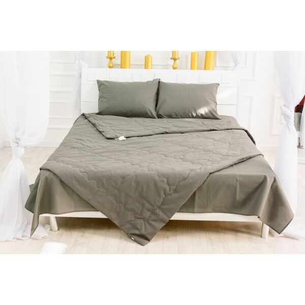 

Набор MirSon №2615 EcoSilk 16-5803 Geronimo (одеяло + 2 наволочки) 200х220 см + 50х70 см италия, ecosilk