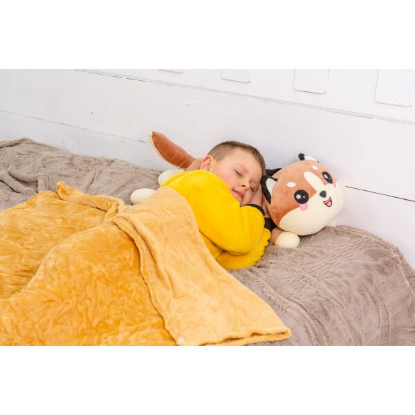 

Плед MirSon детский 1073 Cat Brown + подушка 120х160 см италия, флис