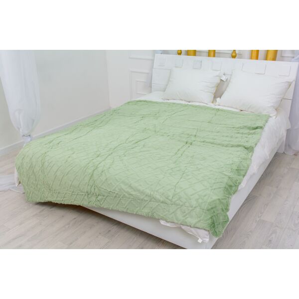 

Плед MirSon 1024 Camellia Mint 180х200 см италия, флис